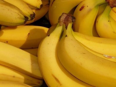 Россия рассматривает возможность выращивания бананов