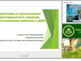 Подготовка и организация адаптационного периода при поступлении ребенка в ДОО