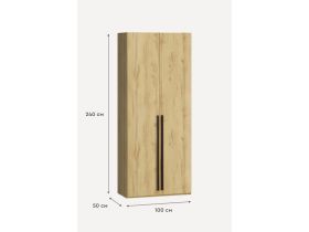 Распашной шкаф Кимбол 2-100x240 Дуб Золотистый