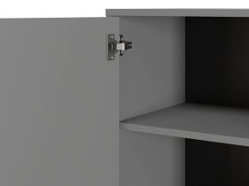 Распашной шкаф Торвалль 1.1-50x185 Графитовый