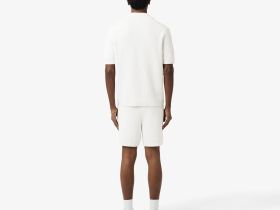 Мужские хлопковые шорты Lacoste