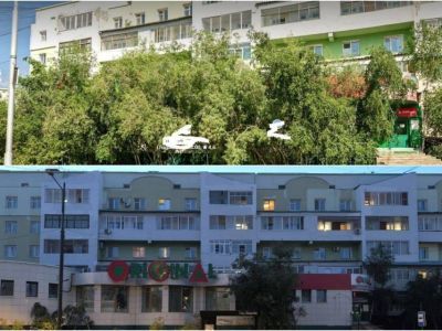 Полиция проверит в Якутске законность вырубки деревьев на проспекте Ленина