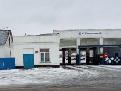 Тогучинская городская библиотека № 35