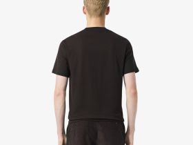 Мужская хлопковая футболка Lacoste с коротким рукавом