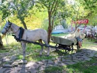 Выставочный комплекс «Салют, Победа!»