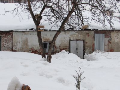 Хозяйственные постройки