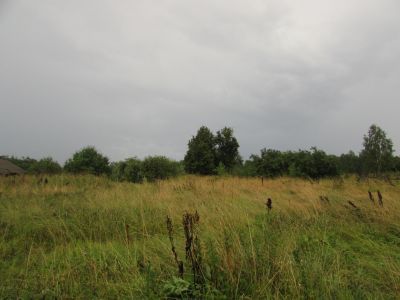 Дом Синицыных