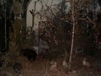 Советский районный краеведческий музей