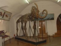 Рязанский историко-архитектурный музей-заповедник