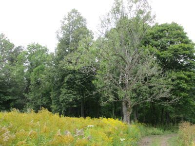 Родина поэта Василия Александровского