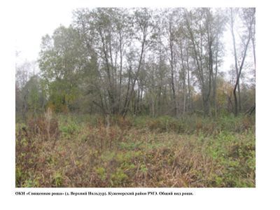 Священная роща