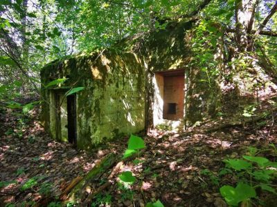 Карельский укрепленный район. Лемболовский батальонный район обороны. Комплекс фортификационных сооружений в составе огневых точек: ДОТ № 60, ДОТ № 603, АДОТ № 08, АДОТ № 09