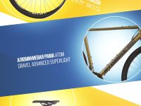 Шоссейный велосипед Atom Tundra LTD, год 2024, цвет Коричневый, ростовка 22