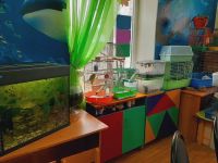 Ширяевская сельская библиотека