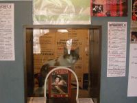 Драматический театр «Вернадского, 13»