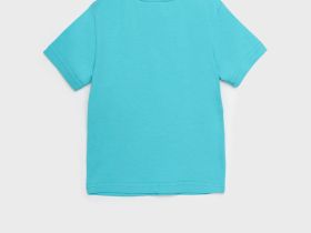 Фуфайка детская трикотажная для мальчиков (футболка)