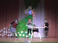 Плюсский районный дом культуры