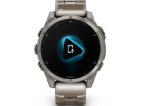 Смарт-часы Garmin Fenix 8 47mm Amoled Sapphire Premium Edition (Titanium Graphite) (010-02904-40)