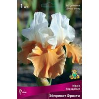 Ирис бородатый Эприкот Фрости