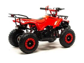 Квадроцикл MOTOLAND 50 Scorpion (2021 Г.)