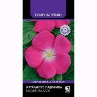 Катарантус Пацифика Маджента Хало (Семена Профи)