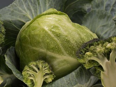 Роскачество представит РФ на всемирной выставке органических продуктов