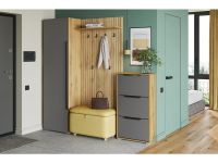 Обувница Авильтон 2-60x110 Графитовый