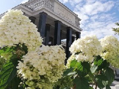 Москва: современность и история