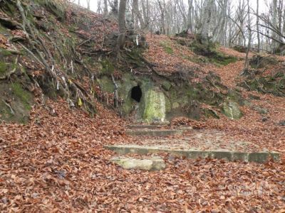 Петровская роща и родник, XVIII в.