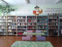 Библиотека-филиал № 16 с. Маньково