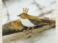 Деревянная брошка Дворникова А. "Королёк"