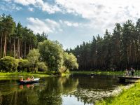Домодедовский городской парк культуры и отдыха «Ёлочки»