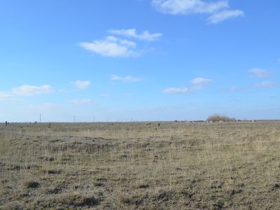 Стелы надмогильные с тухумным знаком "Уйсун тамга" (2 ед.)