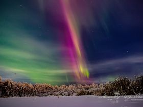Переливы северного сияния засняли в окрестностях Якутска