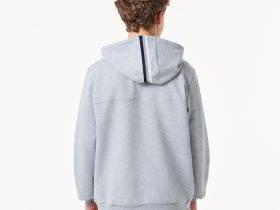 Мужская толстовка Lacoste стандартного кроя
