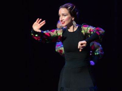 Flamenco на крыше (Музей-фотосалон Карла Буллы)