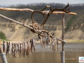 Сплав, отдых и рыбалка на реке Амга. Маршрут: Верхняя Амга - Оннес (390 км.)
