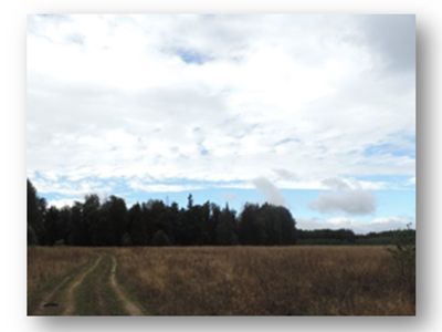 Священная роща