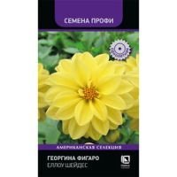 Георгина Фигаро Еллоу Шейдес (Семена Профи)