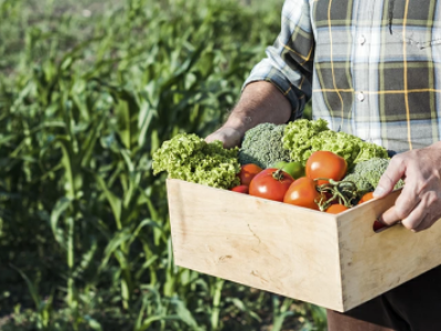 Роскачество разрабатывает ГОСТ на фермерскую продукцию