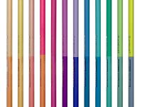 Набор пастельных двусторонних карандашей Acmeliae "Pastel Artmate" 12 шт/24 цв, в картоне