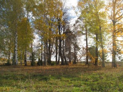 Священная роща