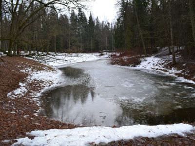 Пруд Нижний Старосильвийский с плотиной