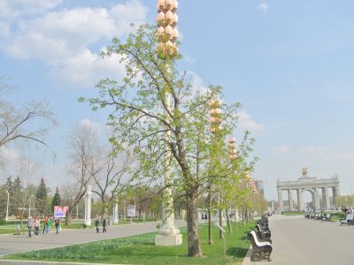 Каштановая роща