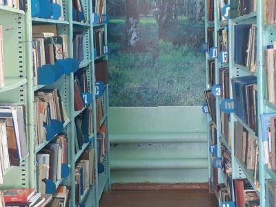 Коврижская сельская библиотека