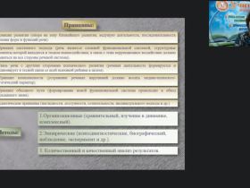 Вебинар "Логопедагогика: анатомо-физиологические механизмы становления речи и особенности нервной системы детей"