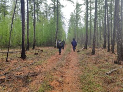 В Чурапчинском районе возобновили поиски пропавшей пенсионерки
