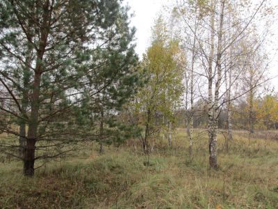 Памятное место, где в период смоленского сражения в 1941 г. находился штаб 24 армии