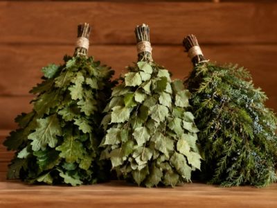 Лучший веник для бани: как выбрать, запарить и заготовить