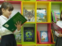 Баграмовская сельская библиотека